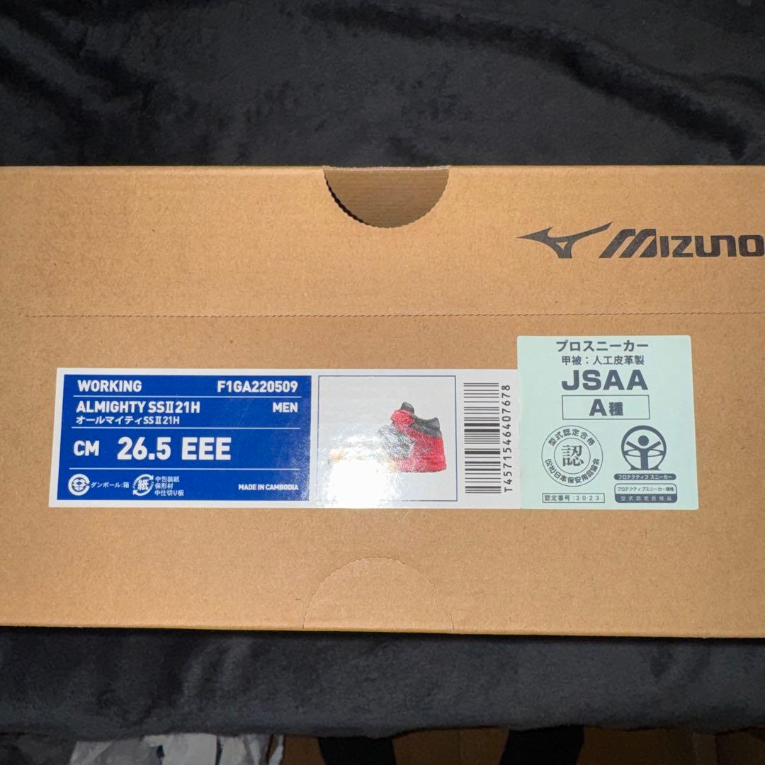 [極美品] Mizuno 安全靴 ブラック/レッド