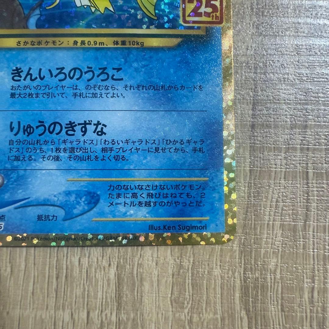 ひかるコイキング　25th