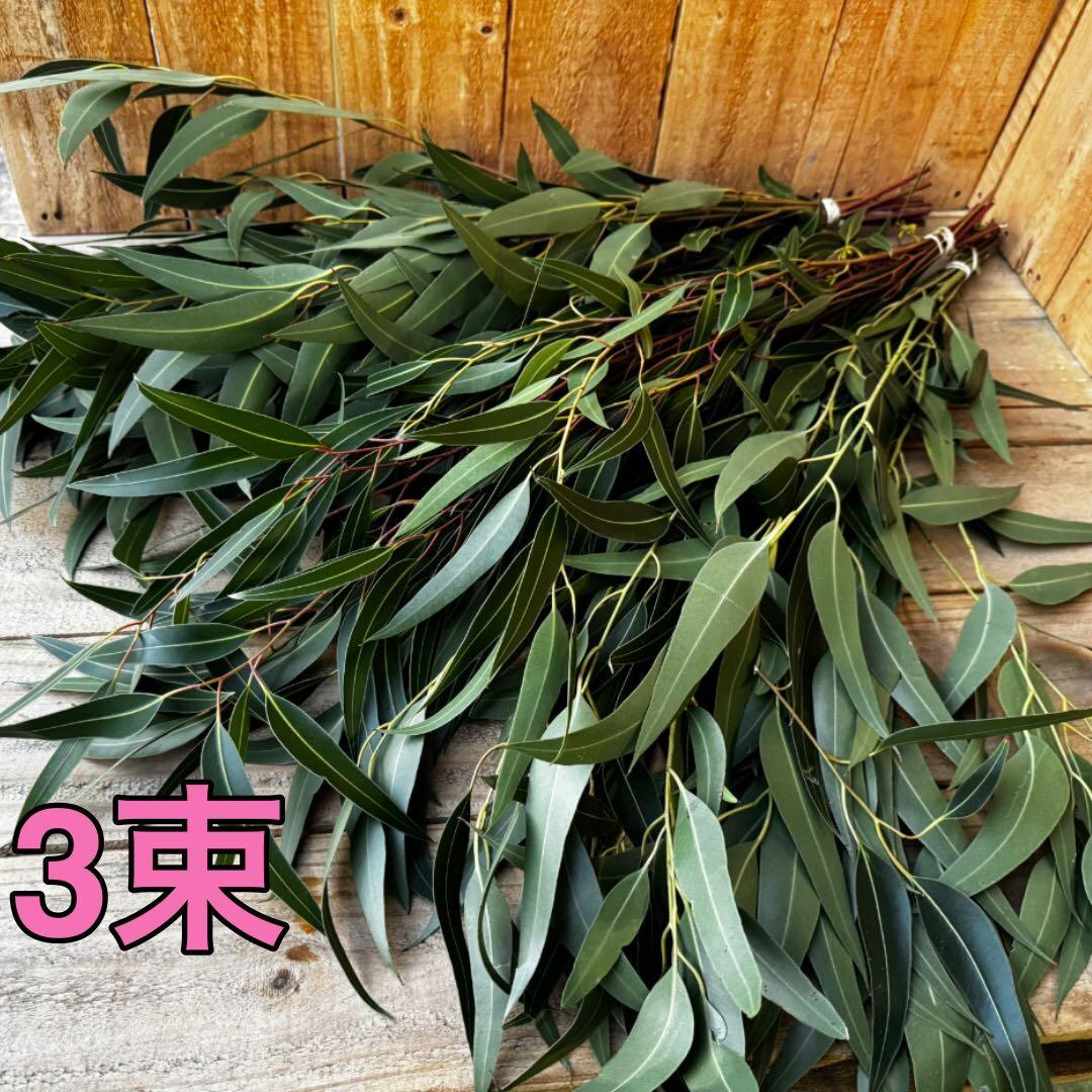 モモ様 リクエスト 3点 まとめ商品