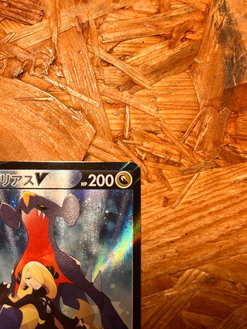 ガブリアスex SAR ガブリアスV 2枚セット