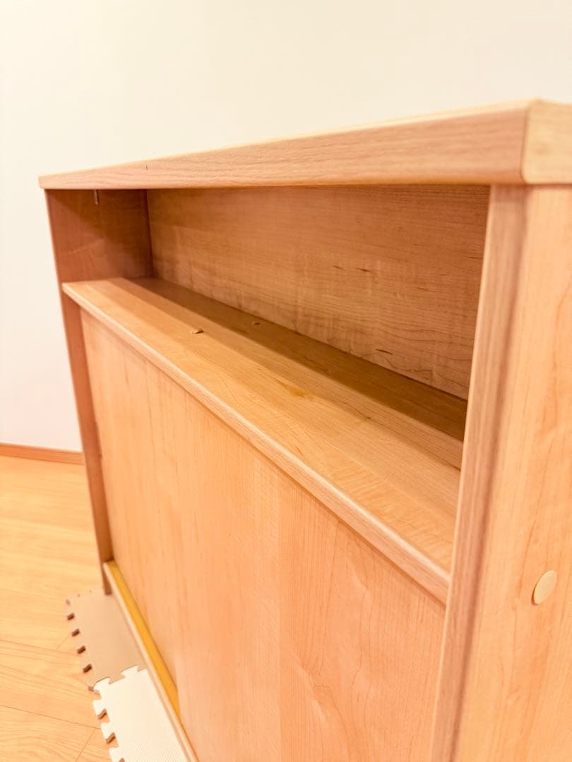 狭いカウンター下にも収納できるキャビネット 2扉付き