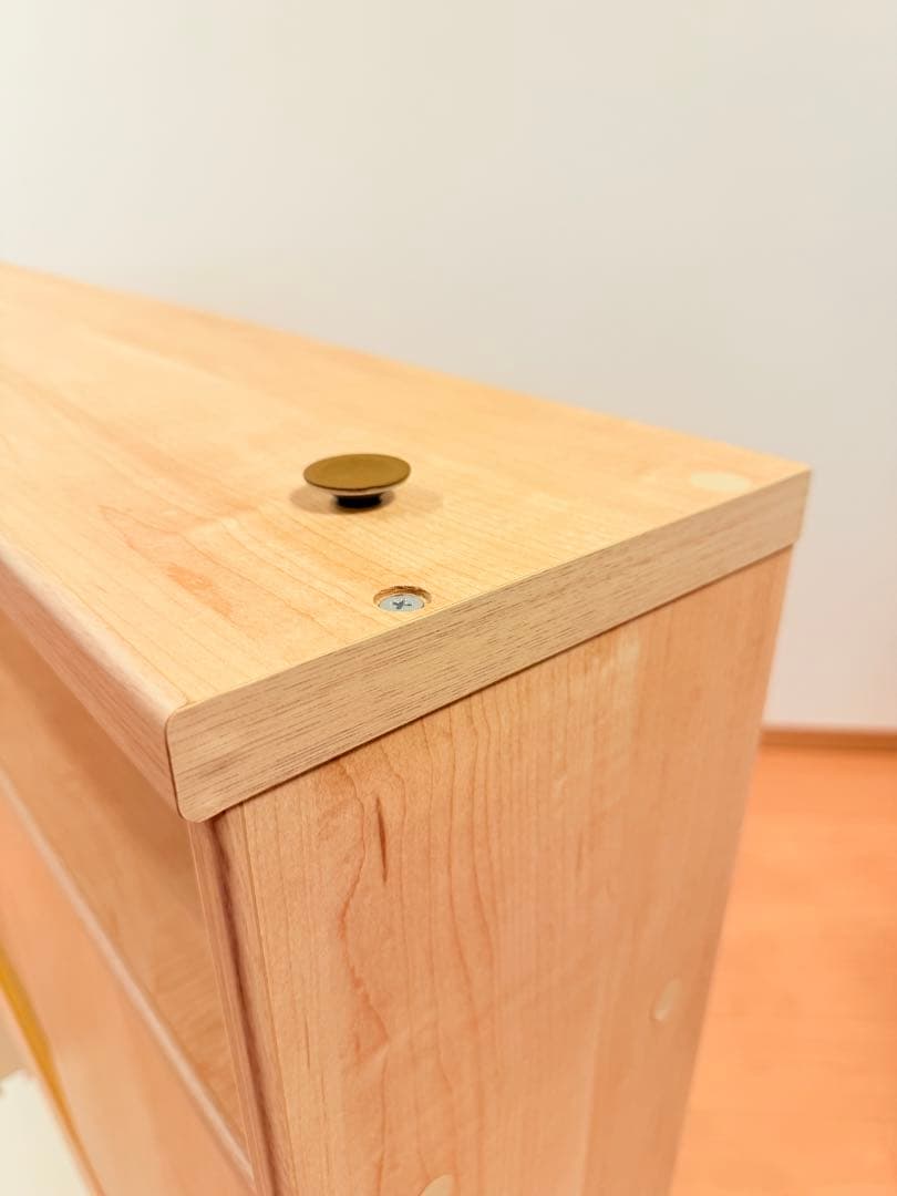 狭いカウンター下にも収納できるキャビネット 2扉付き