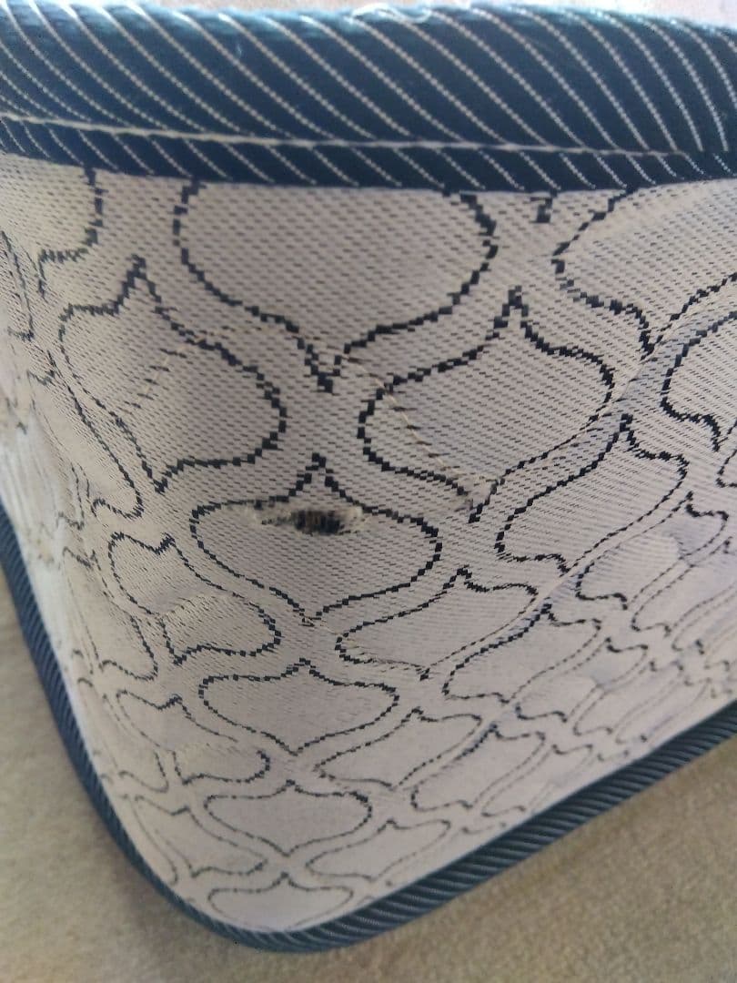 シーリー　ベットマットレス　シングル