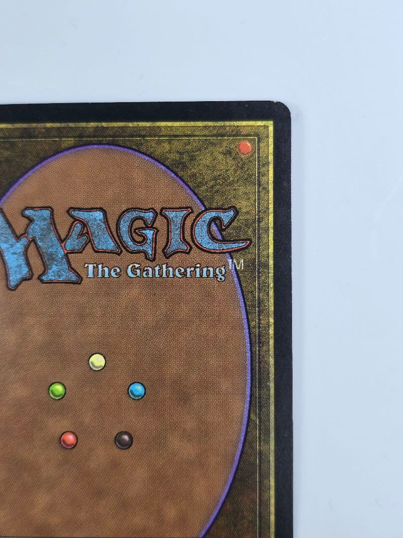 MTG 《大地の知識/Earthcraft》[TMP] 日本語