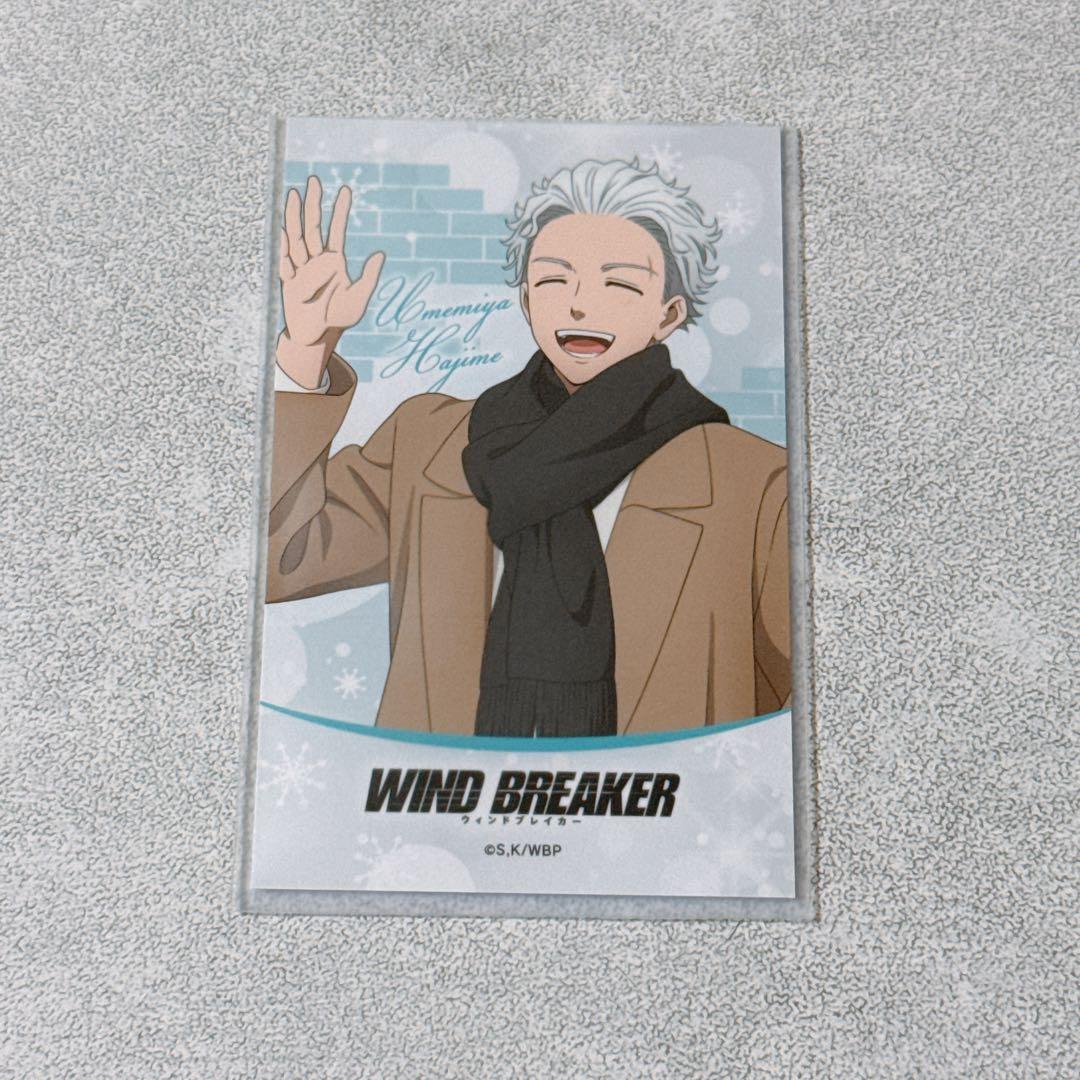 WINDBREAKER ウィンブレ プリンセスカフェ 冬衣装 梅宮一 - メルカリ