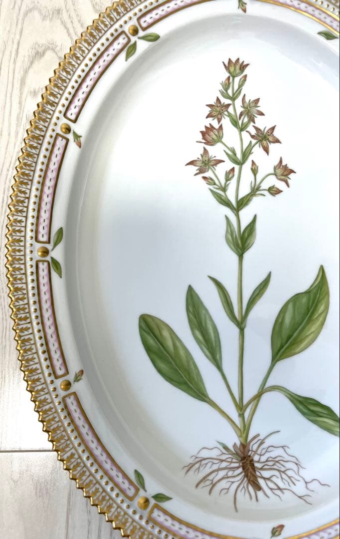 ちゃんおがわロイヤルコペンハーゲン　フローラダニカ　大皿　オーバル