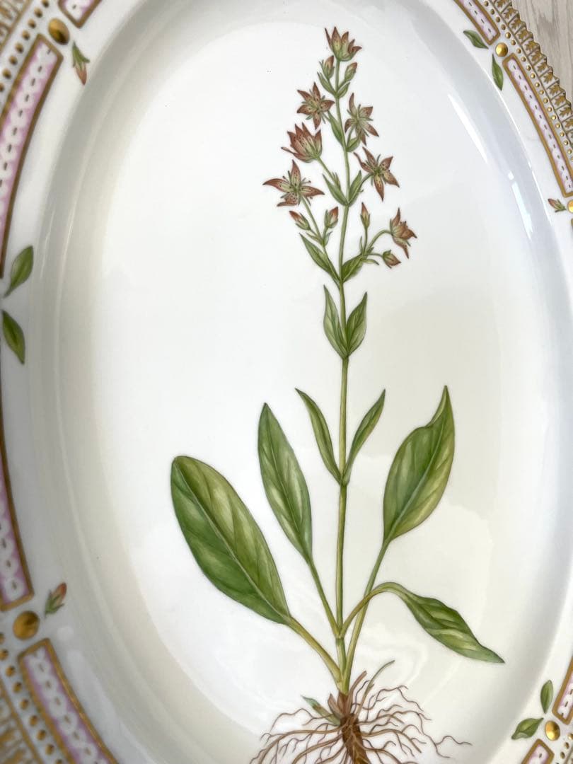 ちゃんおがわロイヤルコペンハーゲン　フローラダニカ　大皿　オーバル