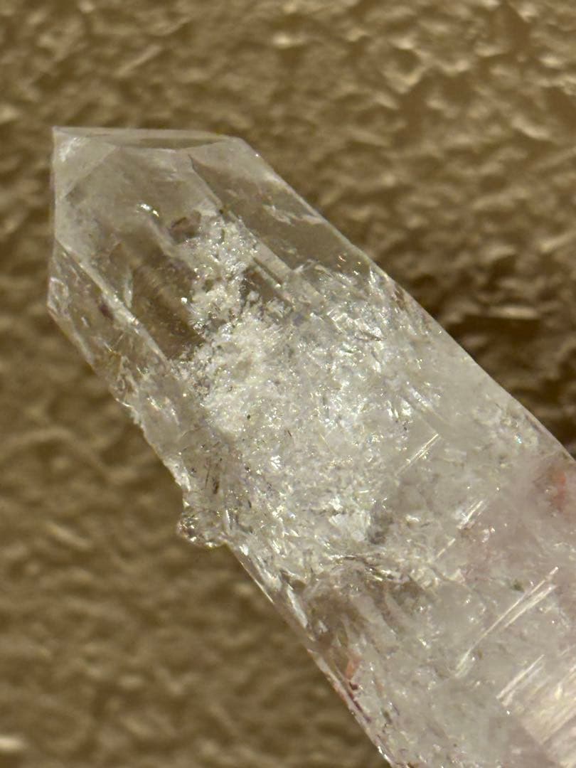 コロンビアレムリアン　ダブルターミネイティッド