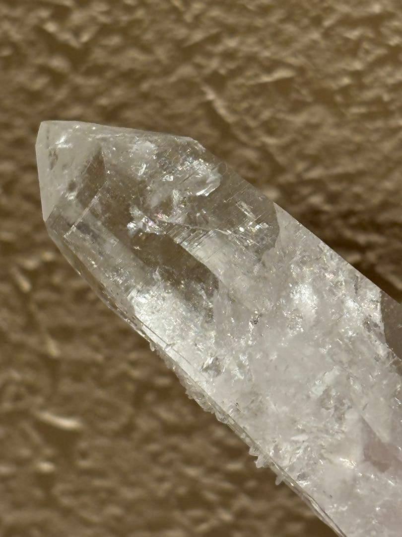 コロンビアレムリアン　ダブルターミネイティッド