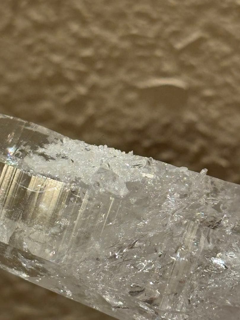 コロンビアレムリアン　ダブルターミネイティッド