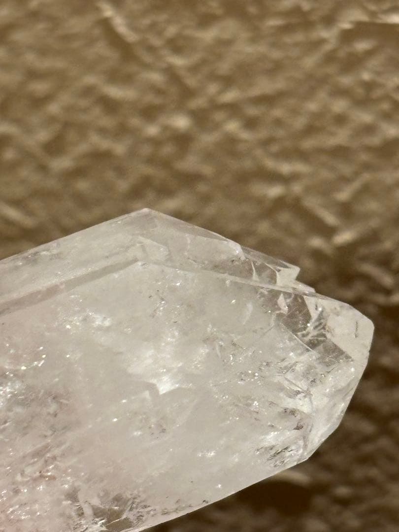 コロンビアレムリアン　ダブルターミネイティッド