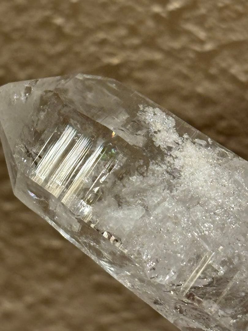 コロンビアレムリアン　ダブルターミネイティッド