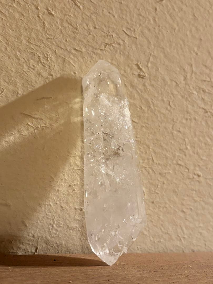 コロンビアレムリアン　ダブルターミネイティッド