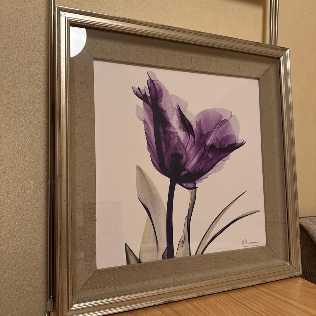 アルバートクーツィール レントゲンフラワー2点 - メルカリ