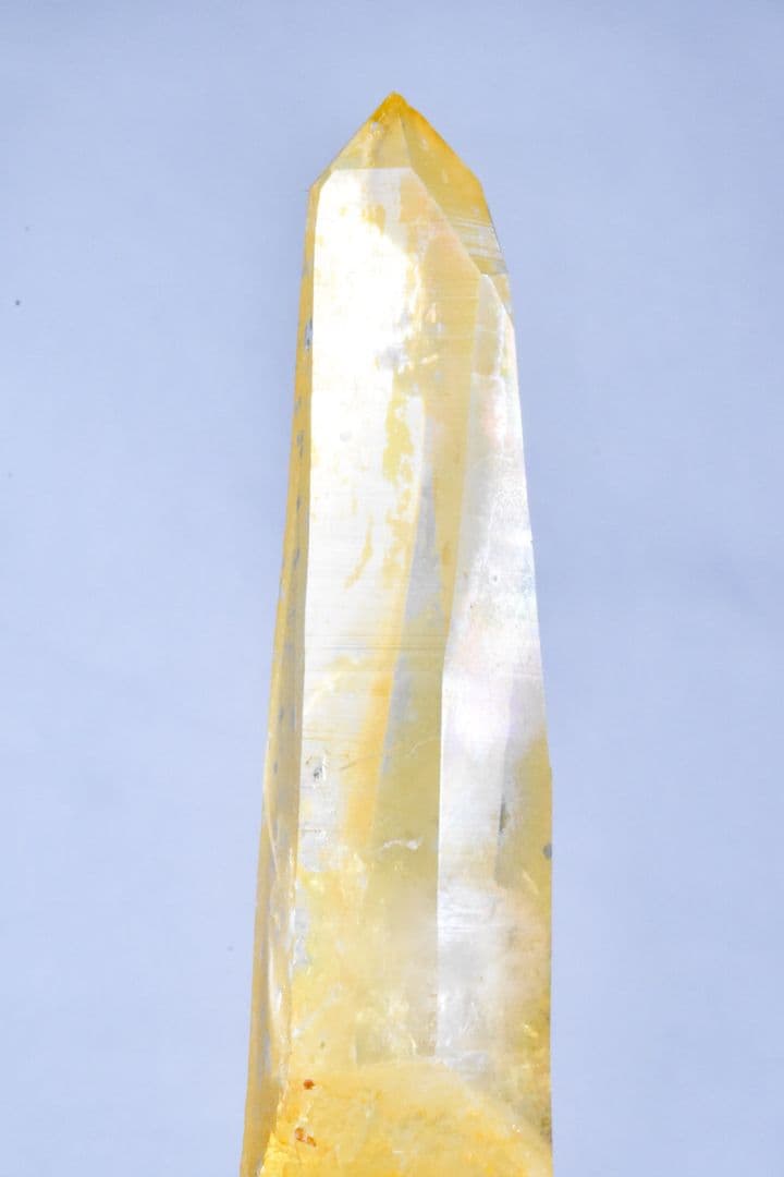 コロンビア産 ゴールデンヒーラーポイント02