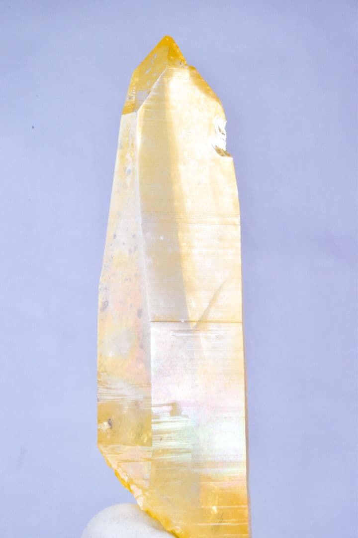 コロンビア産 ゴールデンヒーラーポイント02