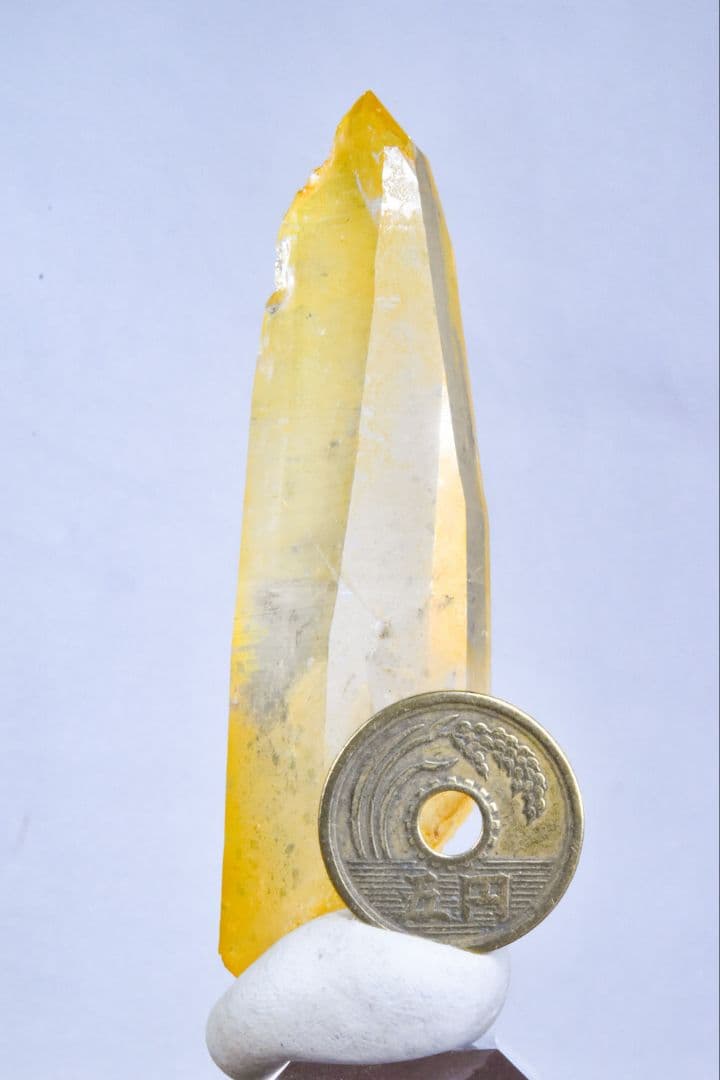 コロンビア産 ゴールデンヒーラーポイント02