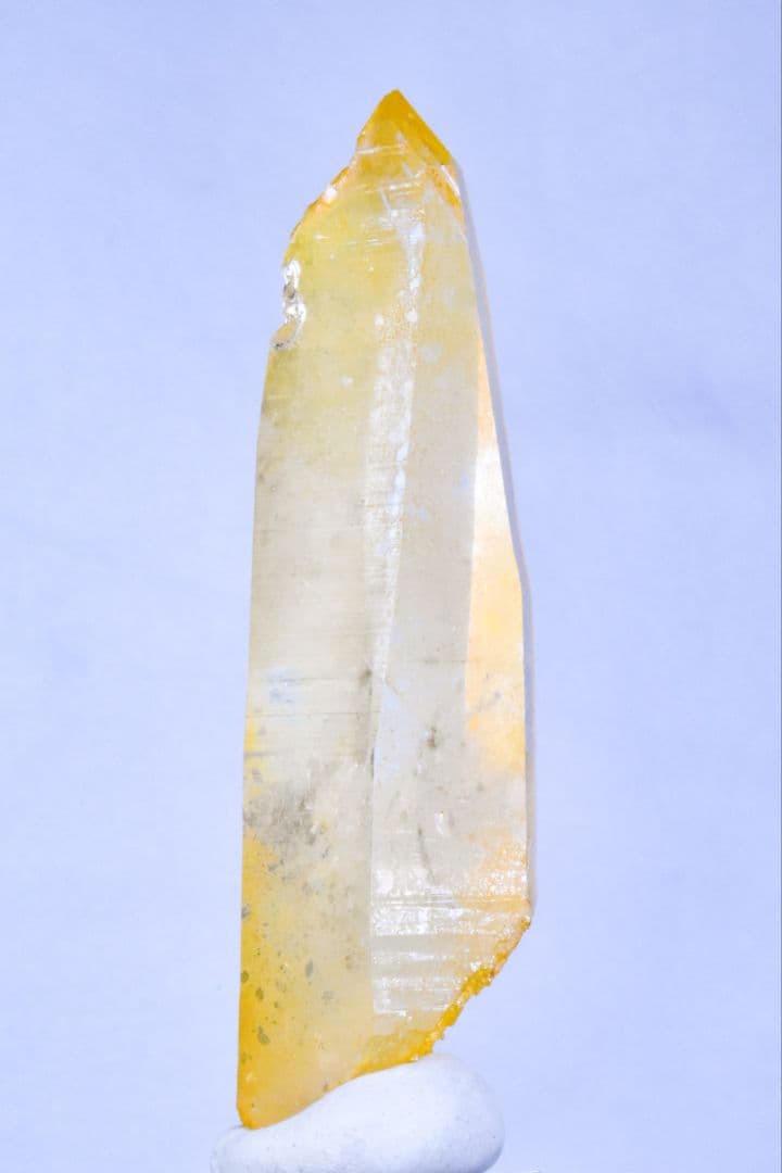 コロンビア産 ゴールデンヒーラーポイント02