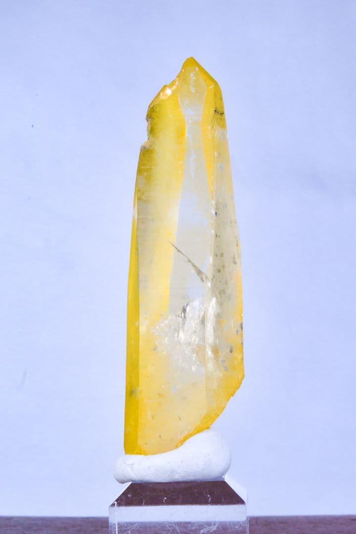 コロンビア産 ゴールデンヒーラーポイント02