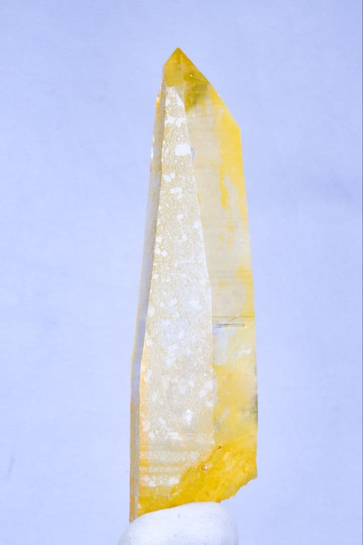 コロンビア産 ゴールデンヒーラーポイント02