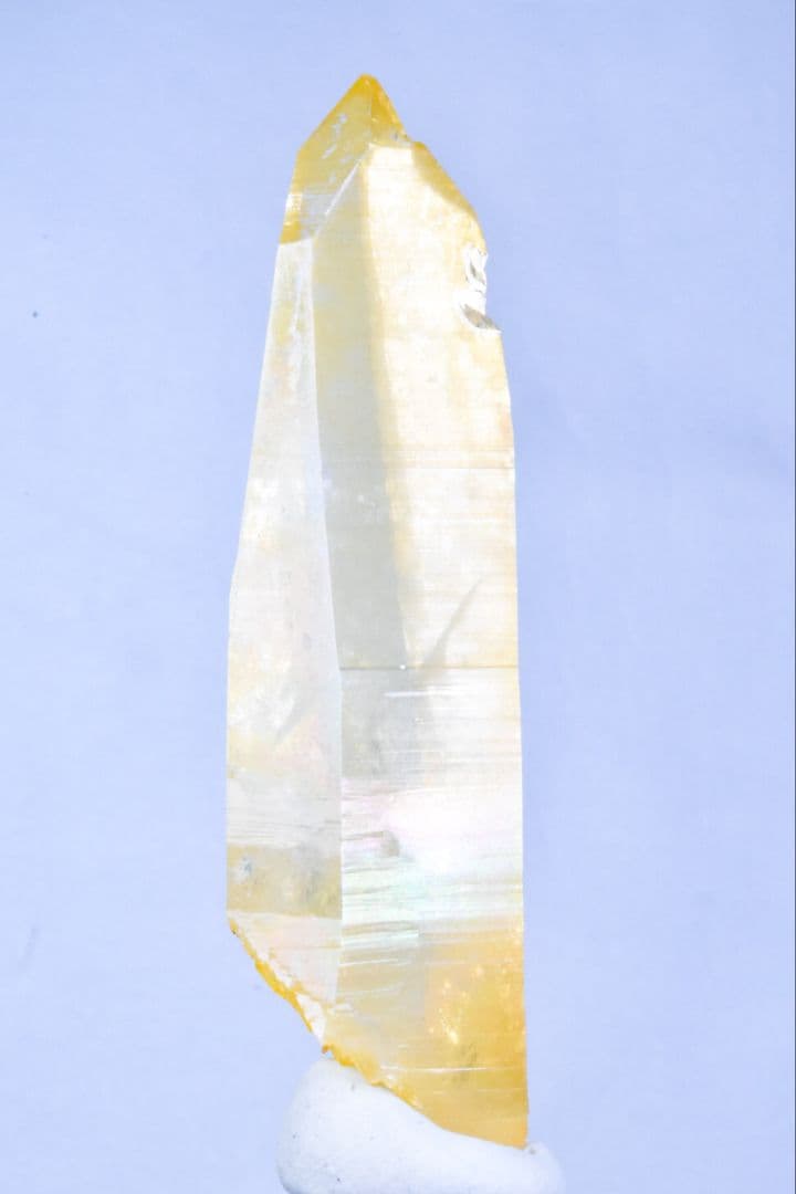 コロンビア産 ゴールデンヒーラーポイント02