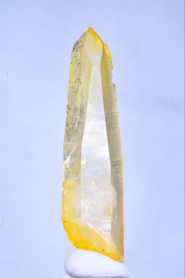 コロンビア産 ゴールデンヒーラーポイント02