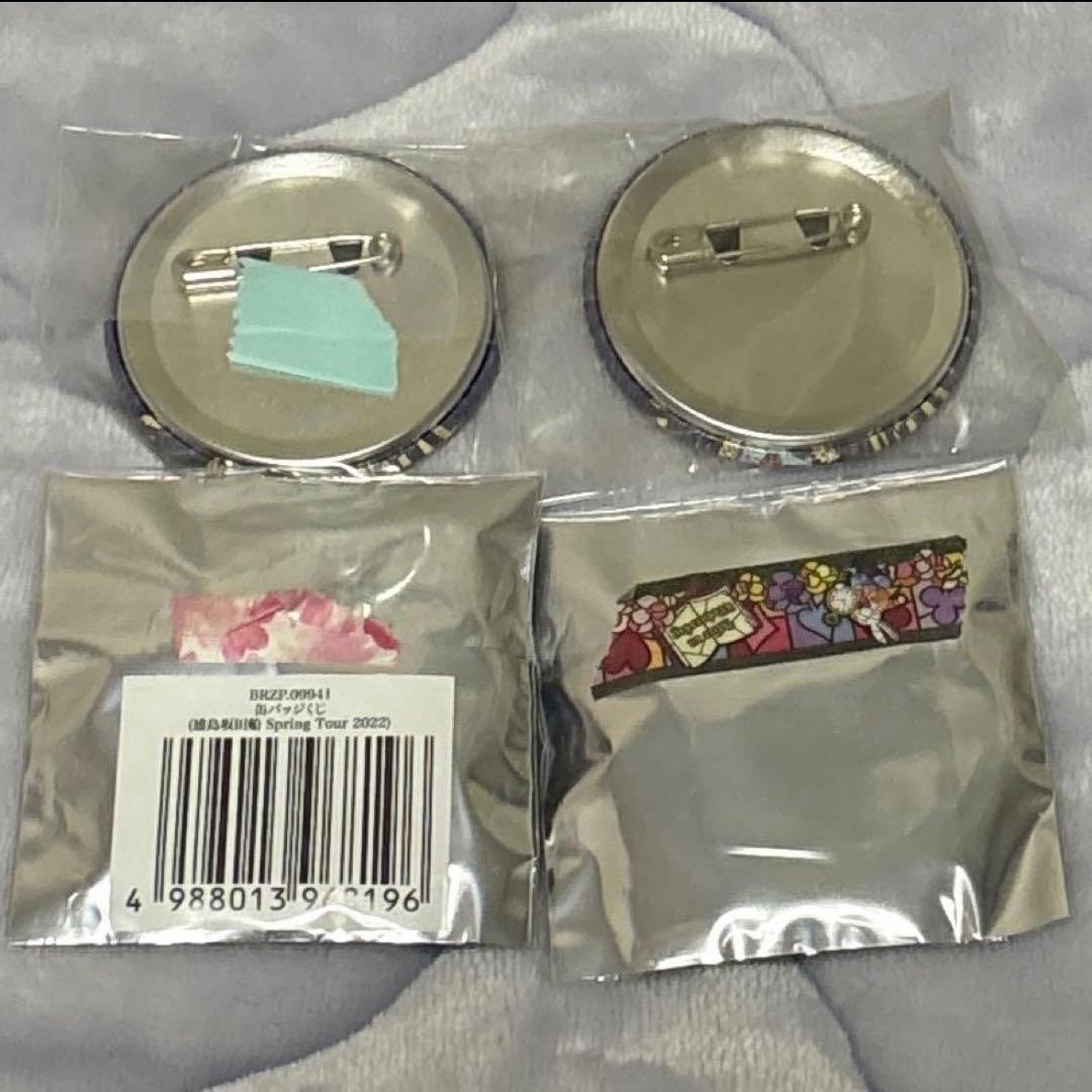 浦島坂田船 春ツ 2022 志麻 缶バッジ 4個 等身 令和浪漫 ホロ - メルカリ