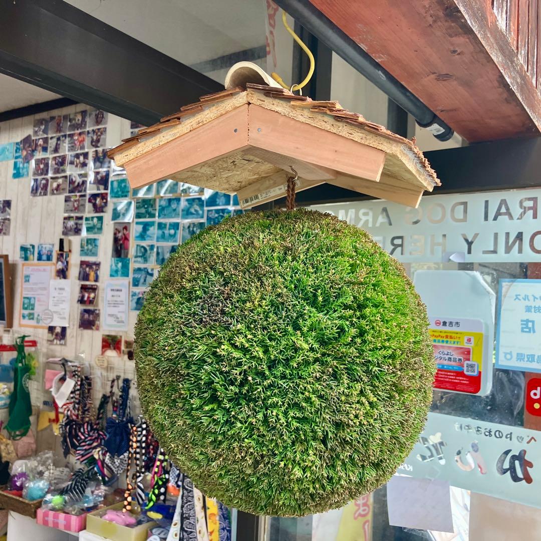 杉玉【屋根付き】④