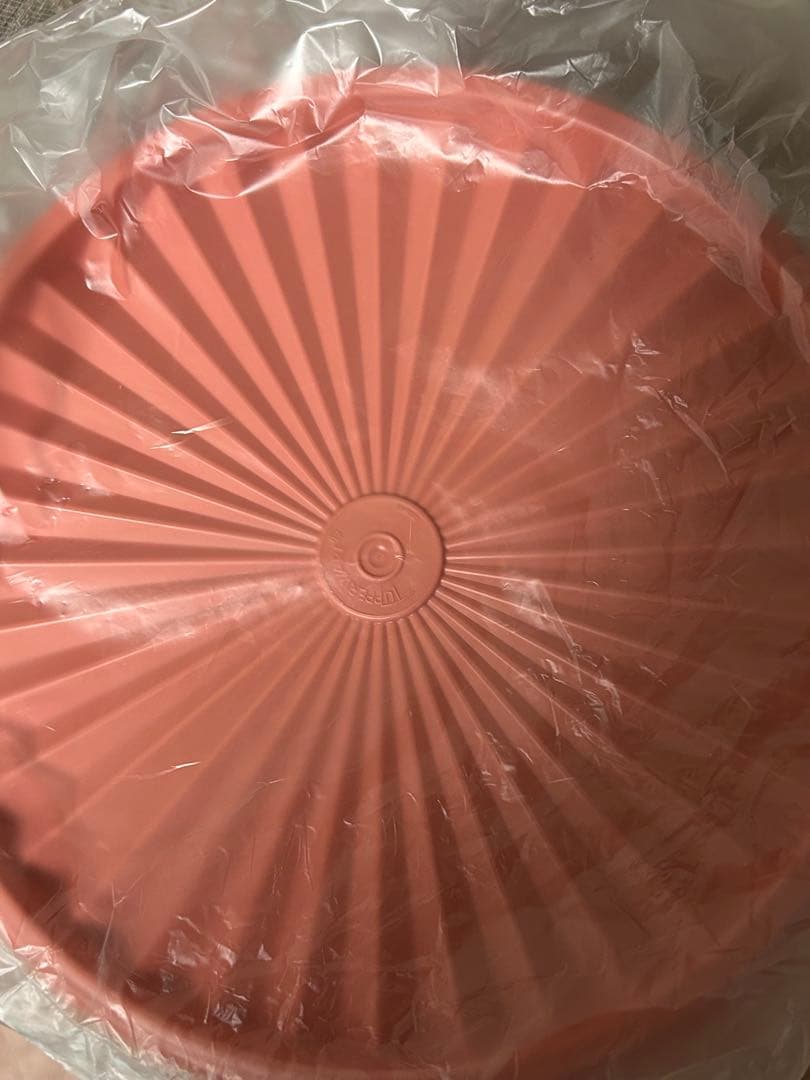 【新品】タッパーウェア　マキシデコレーター(5.5ℓ)、ミニデコレーター