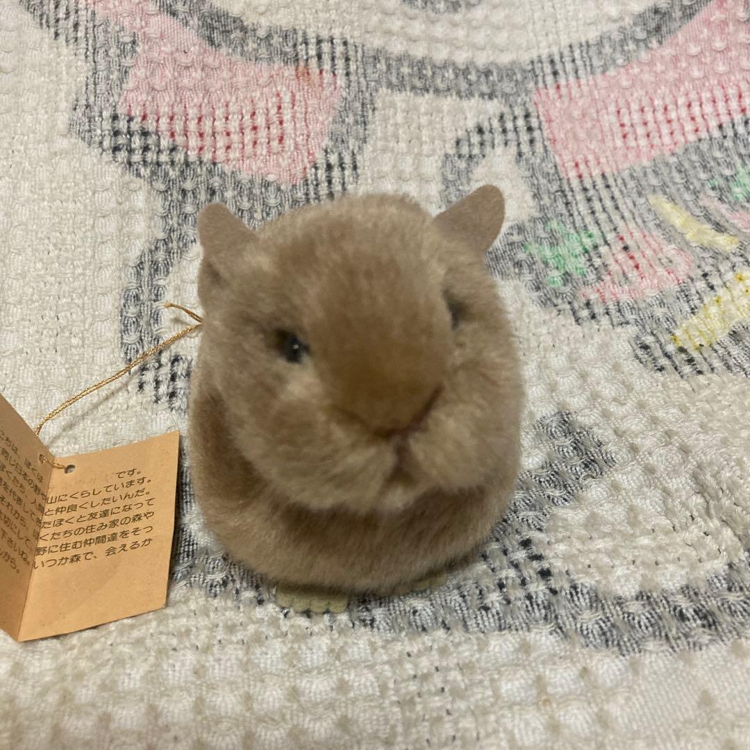 やまね工房 鳴く ナキウサギ ぬいぐるみ タグつき 中古品 - メルカリ