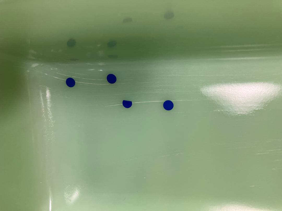 ファイヤーキング ジェダイ　フィルビーリフジレーター　Lサイズ