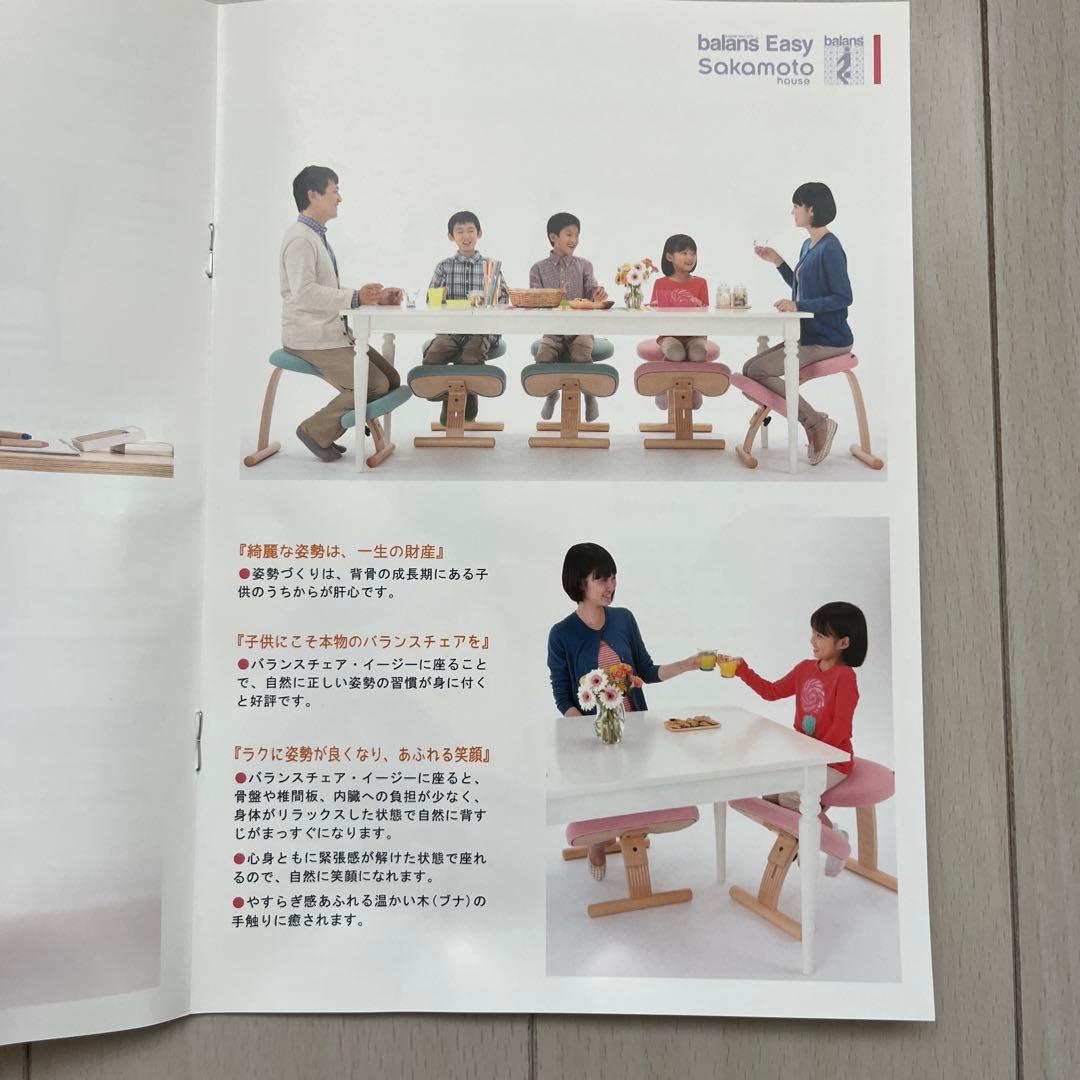 リボ・バランスチェアイージー