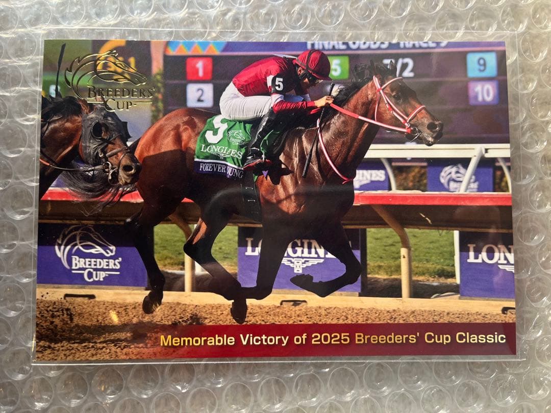 非売品フォーエバーヤング BC優勝記念 キャップ・ポストカード - メルカリ