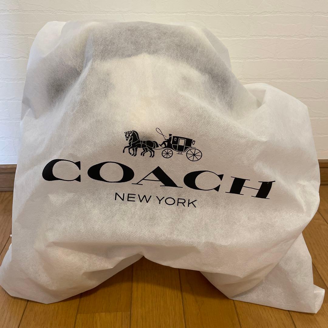 コーチスターウォーズ　レイア姫　オブジェ