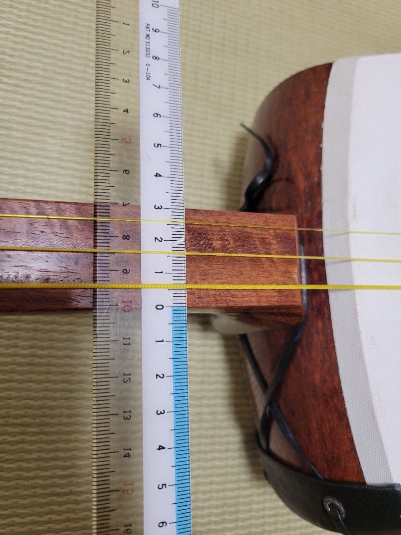 津軽三味線太棹、桐芯ケースのセット(浅井 すぐ弾けます)