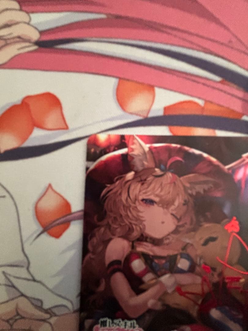 ホロカ　尾丸ポルカ　SEC