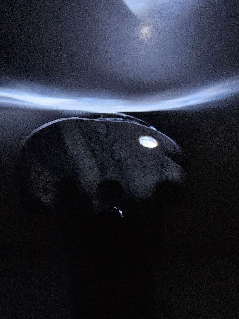 獣形　家畜獣 縞 勾玉