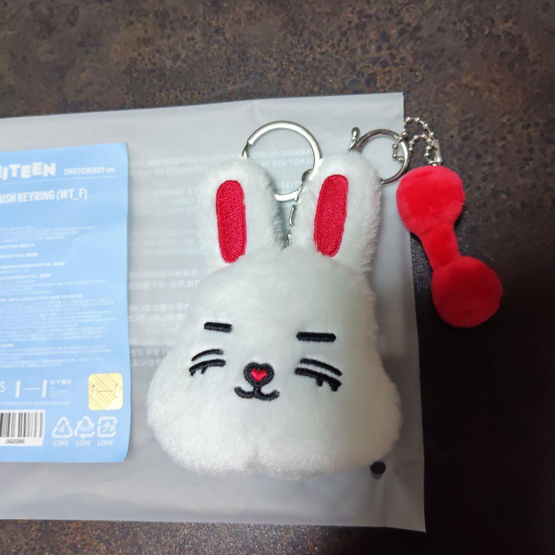 SEVENTEEN フェイス キーリング チェチェリー エスクプス - メルカリ