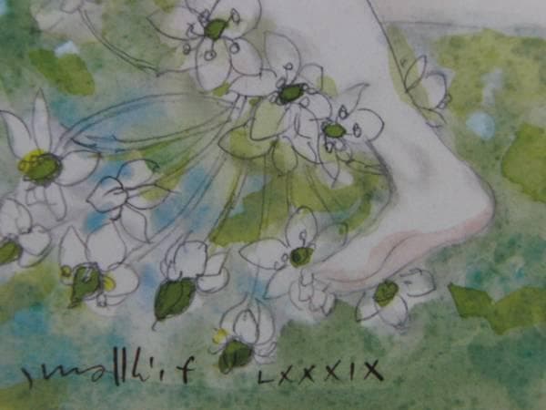 古沢 岩美、オオニソガラム、希少画集画、新品額装付