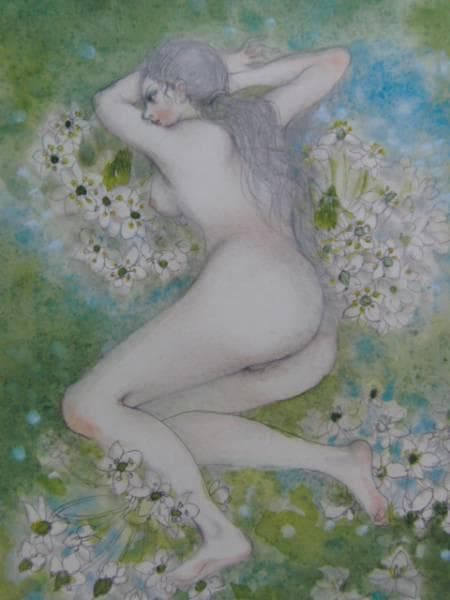 古沢 岩美、オオニソガラム、希少画集画、新品額装付