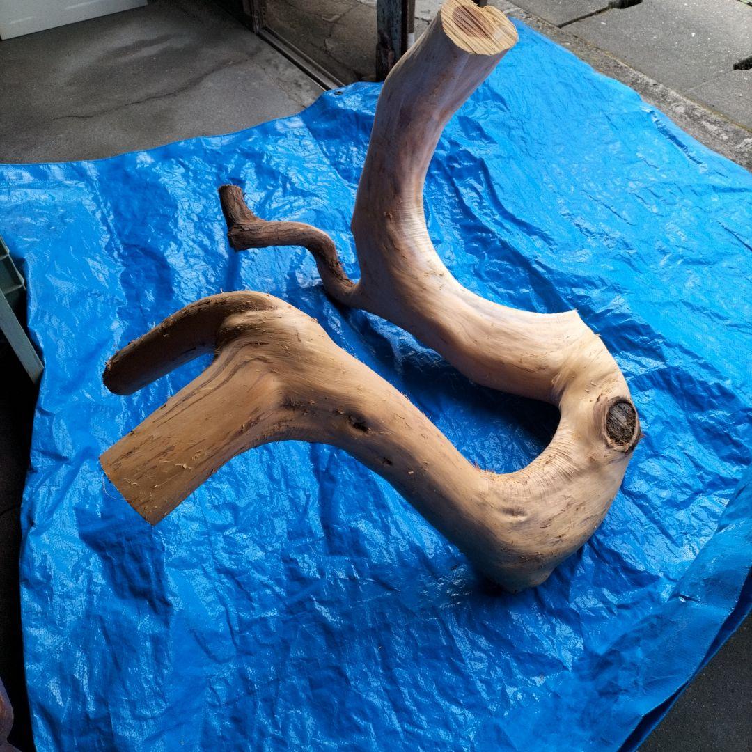 ハクの木の置物