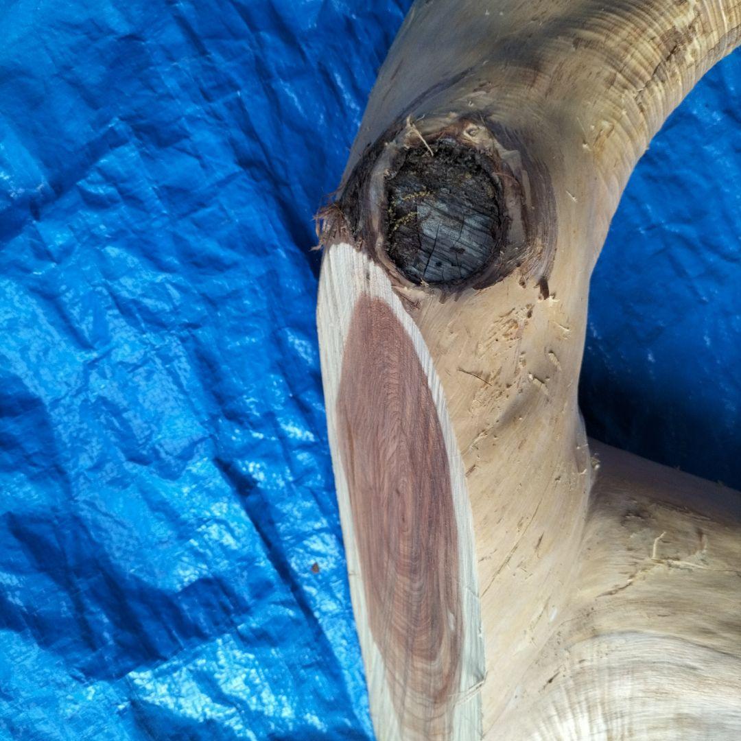 ハクの木の置物