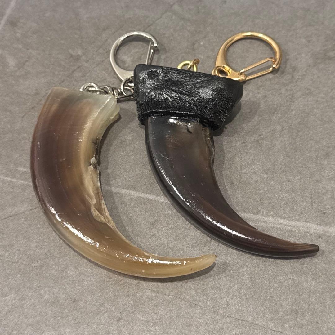 [色レア？] 羆 熊の爪 bigサイズ 7、8cm