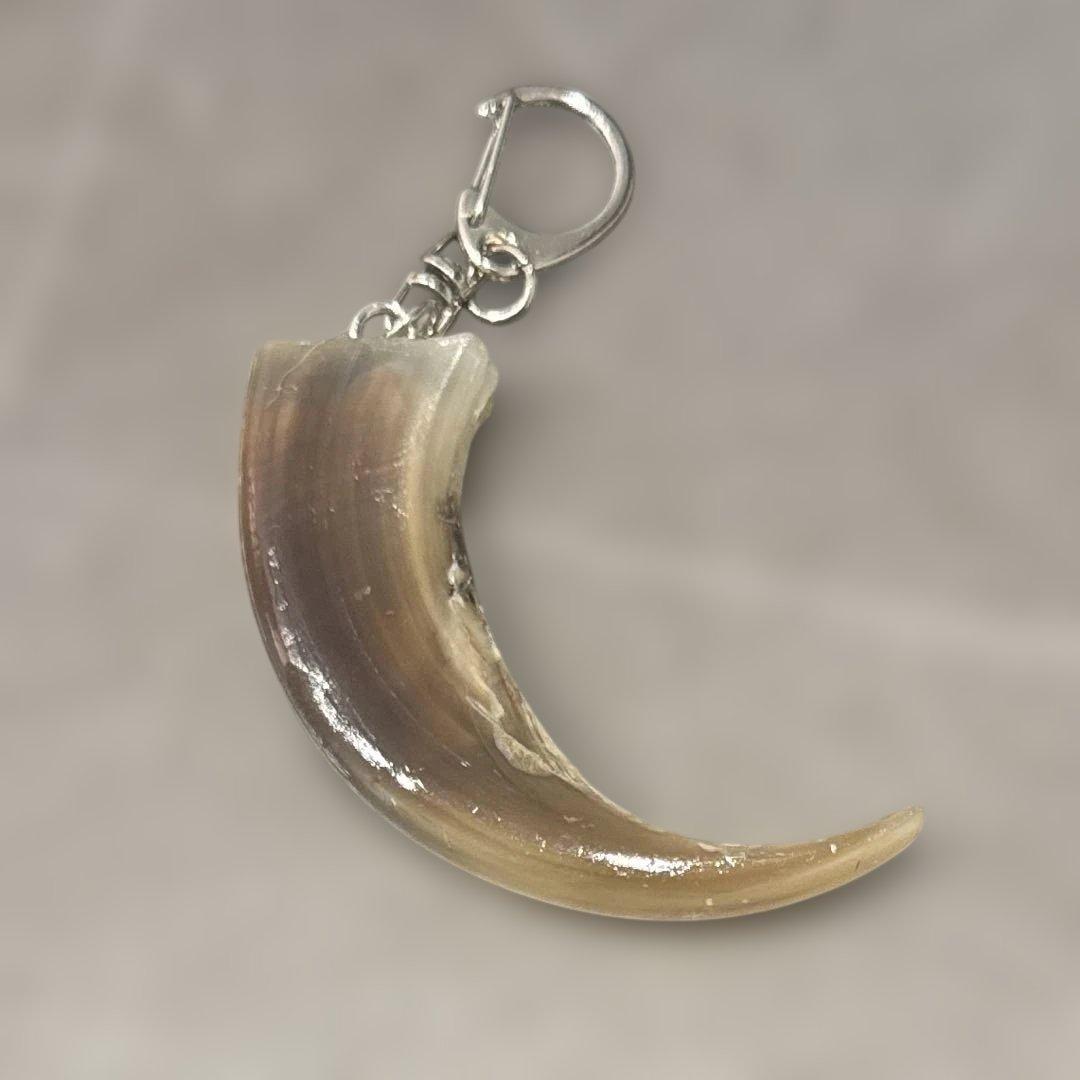 [色レア？] 羆 熊の爪 bigサイズ 7、8cm