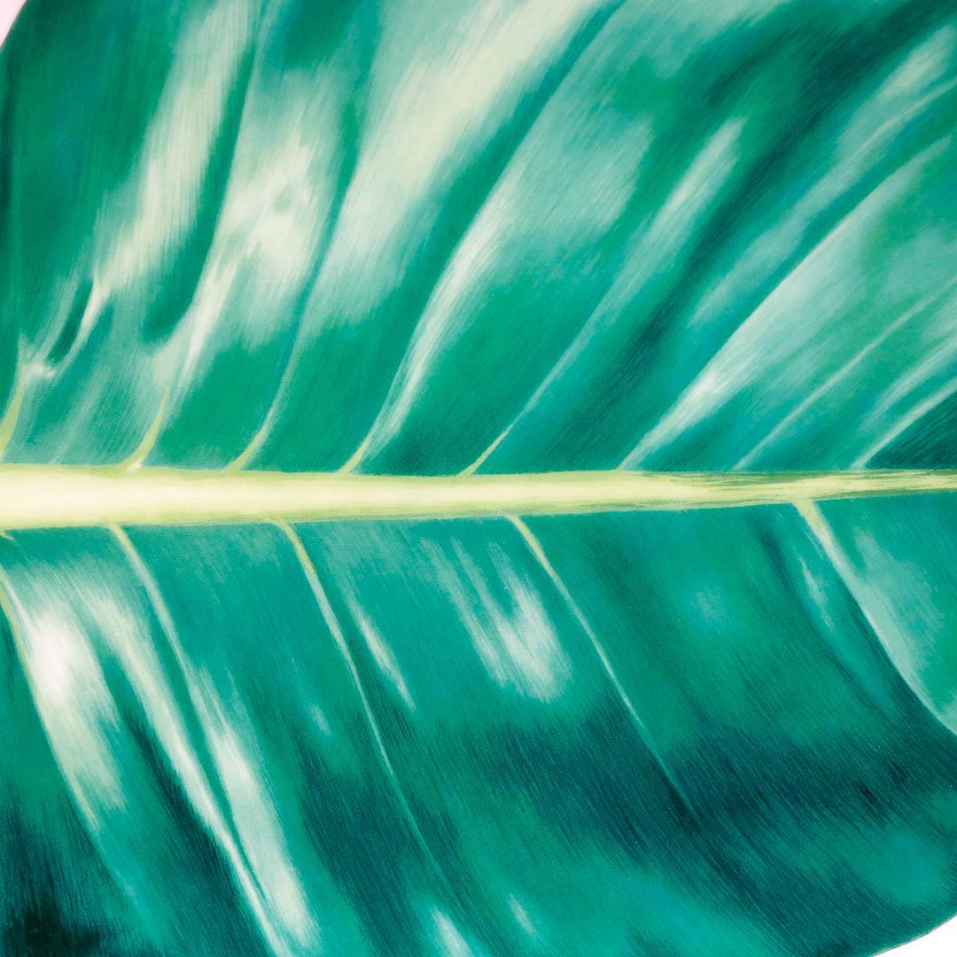 【極美品 送料込み】エルメス パシフォリア オーバル プラッター プレート 大皿