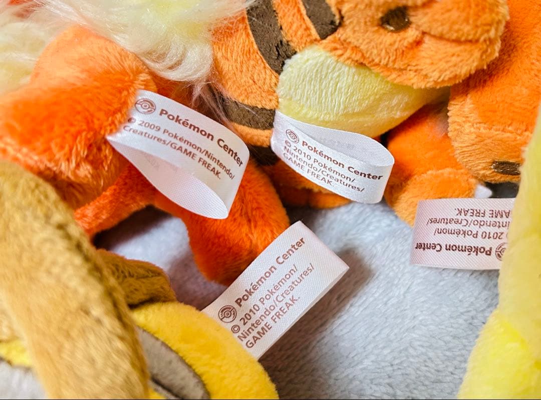 ポケモンキャンバスぬいぐるみ★ブースターガーディライチュウデンリュウ