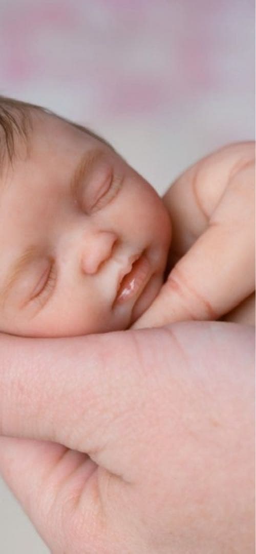 《Maria Lynn Dolls》25㎝フルシリコンリボーンドール