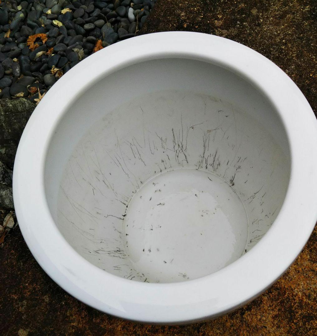 桐紋章 レア品 　オールドノリタケ 　火鉢 　水鉢 　ワインクーラー