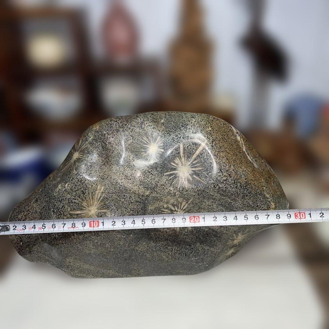 菊花石 8.6kg 鑑賞石 鉱物