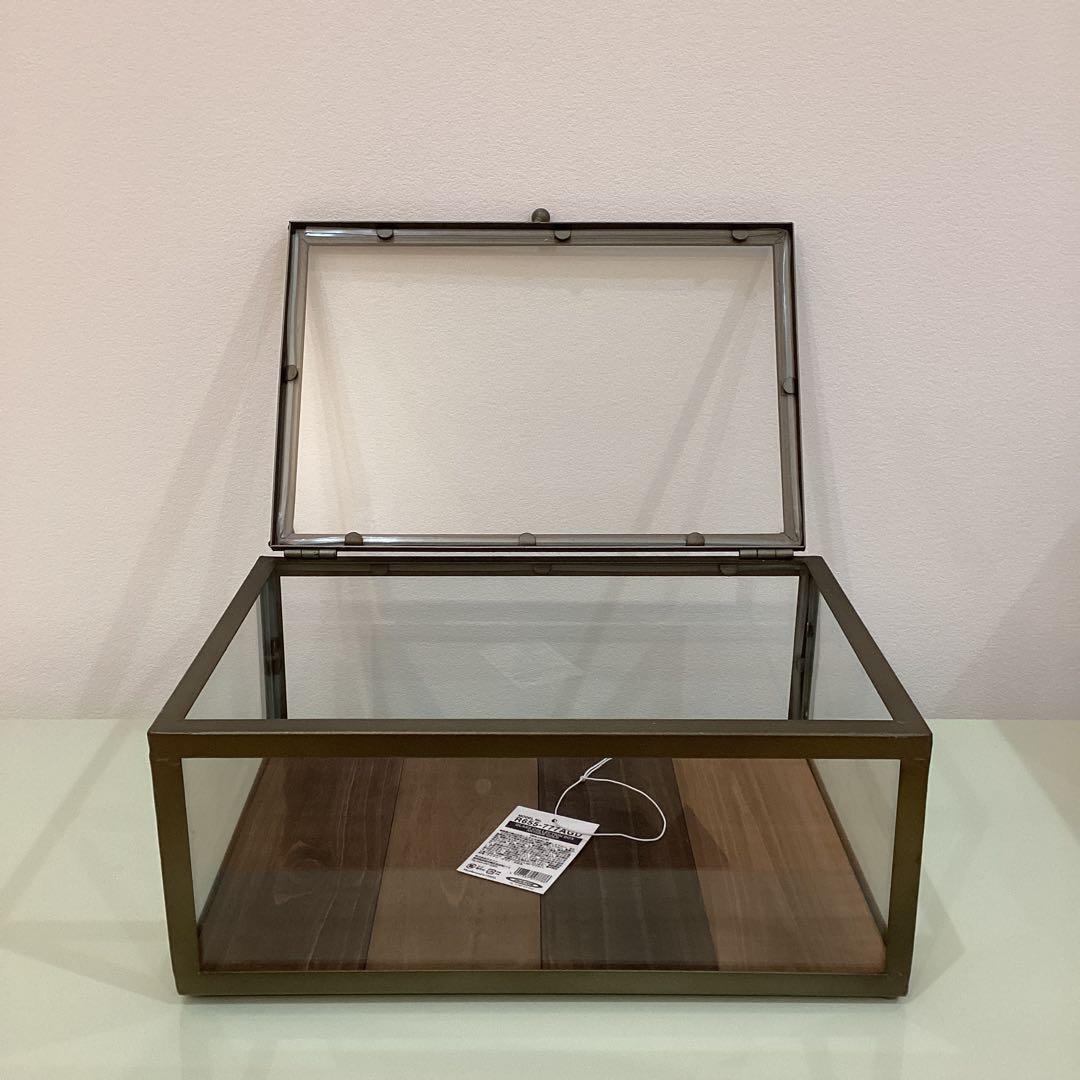 【新品】　ダルトン　DULTON ガラスケース